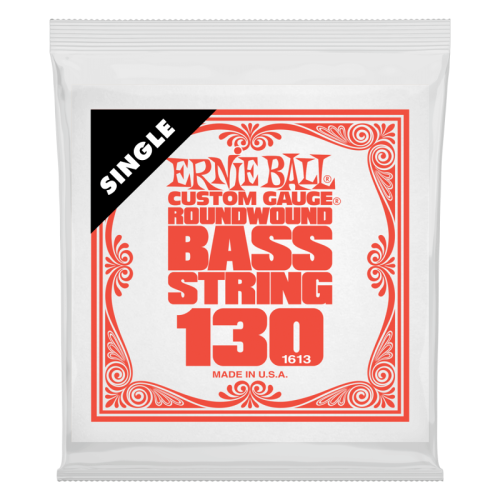 ERNIE BALL P01613